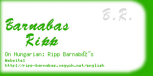 barnabas ripp business card